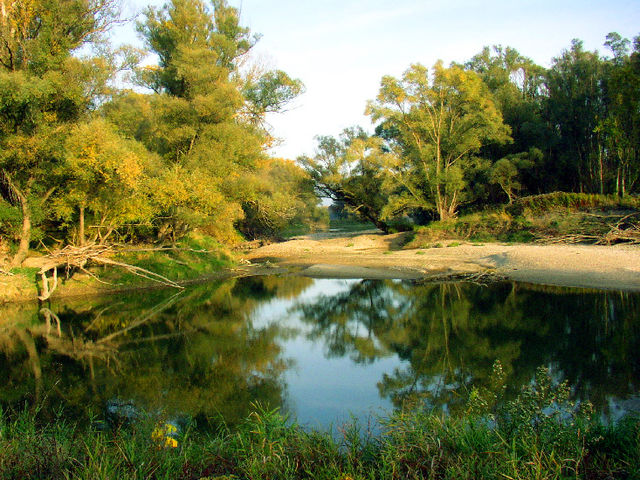 Altarm der Donai bei Schönau, Grünes Wasser, Strand, Bäume